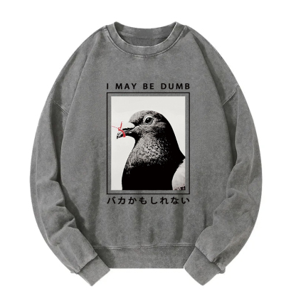 I May Be Dumb Funny Washed Sweatshirt