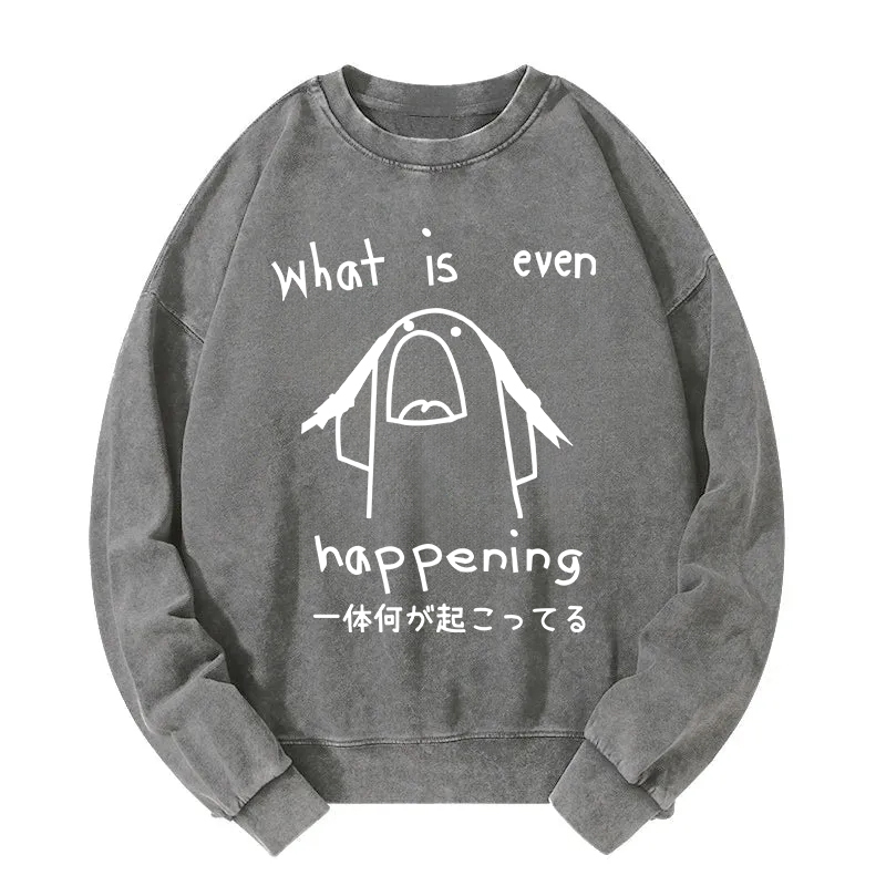 What Is Even Happening Washed Sweatshirt