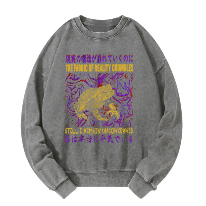 Fabric of Reality Crumbles Still I Remain Unconcerned Washed Sweatshirt