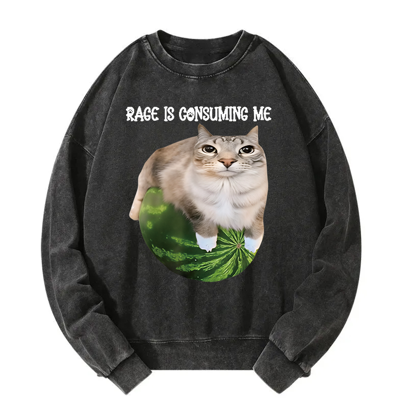 Rage Is Consuming Me Cat Meme Washed Sweatshirt