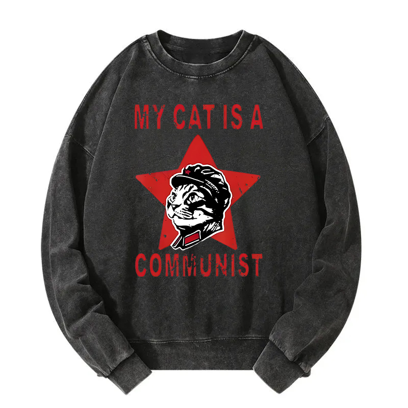 Funny Cat-ism Washed Sweatshirt