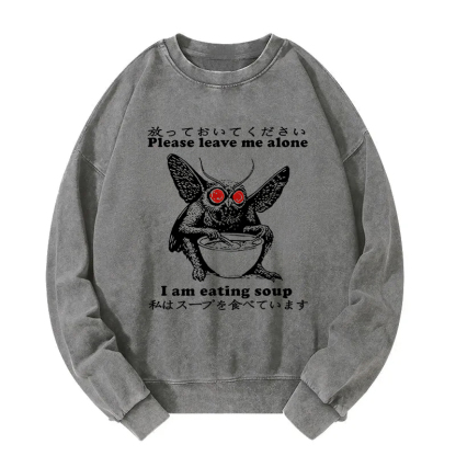 Don't Bother The Mothman Washed Sweatshirt