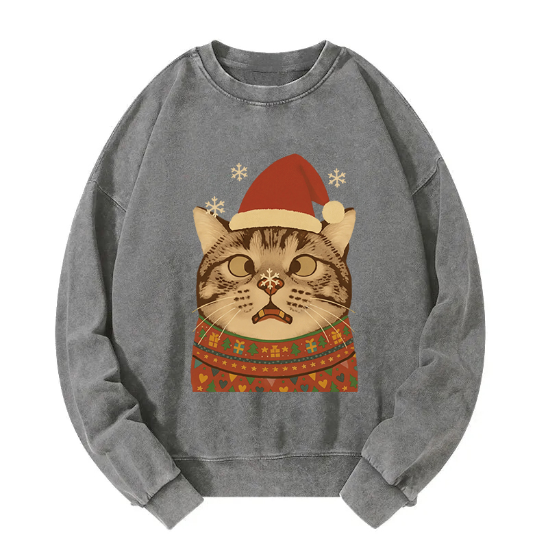 The Christmas Silly Cat Washed Sweatshirt