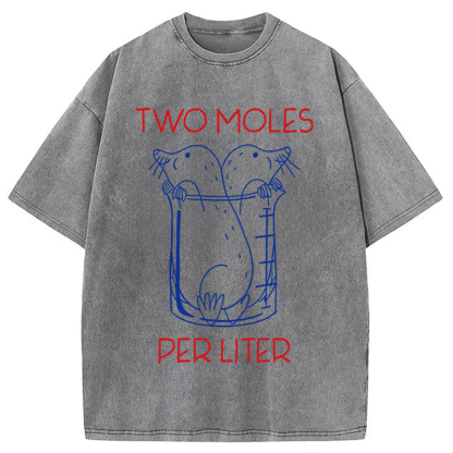 Two Moles Per Liter Washed T-Shirt