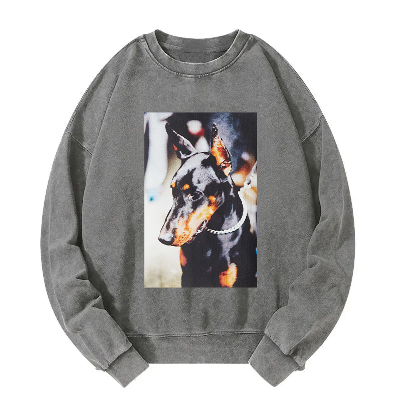 Doberman Pinscher Washed Sweatshirt