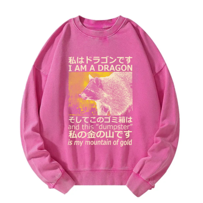 I'm A Dragon and this "Dumpster" is My Mountain of Gold Washed Sweatshirt