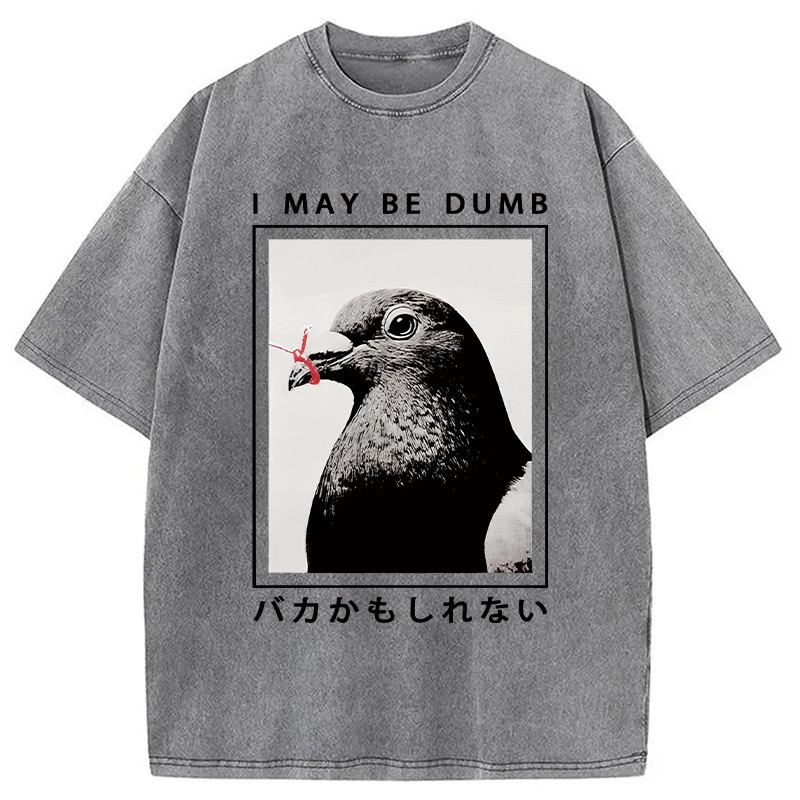 I May Be Dumb Funny Washed T-Shirt