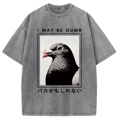 I May Be Dumb Funny Washed T-Shirt