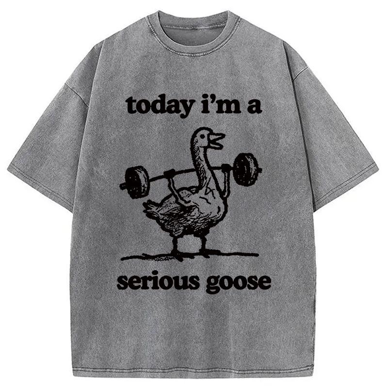 Fitness Goose Washed T-Shirt