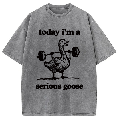 Fitness Goose Washed T-Shirt