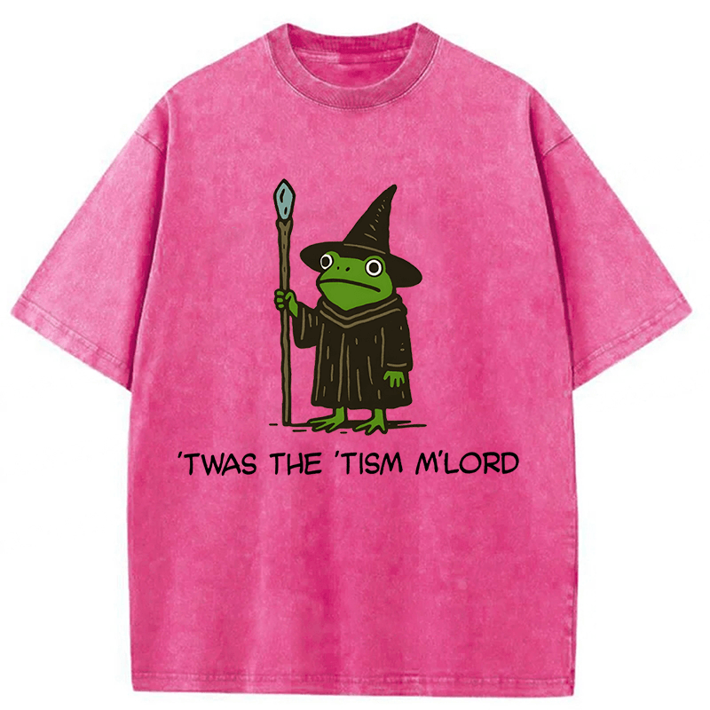 Tokyoviva Twas The Tism Frog Wizard Washed T-shirt
