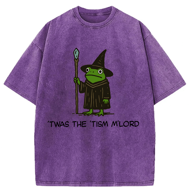 Tokyoviva Twas The Tism Frog Wizard Washed T-shirt