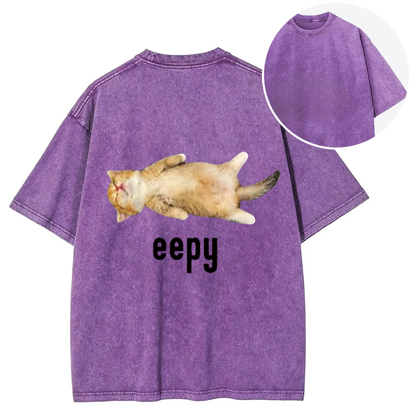 Silly Sleepy Cat Meme Back Washed T-Shirt