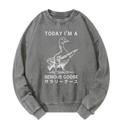 Serious Stupid Goose Washed Sweatshirt