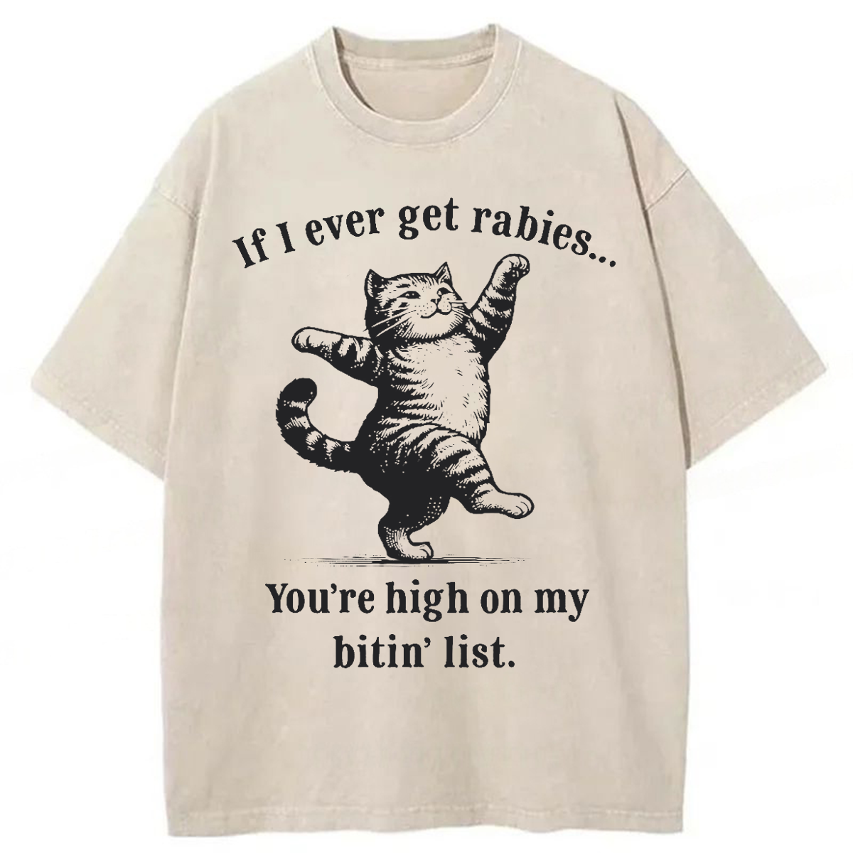 Tokyoviva If I Ever Get Rabies You’re High On My Bitin’ List Washed T-