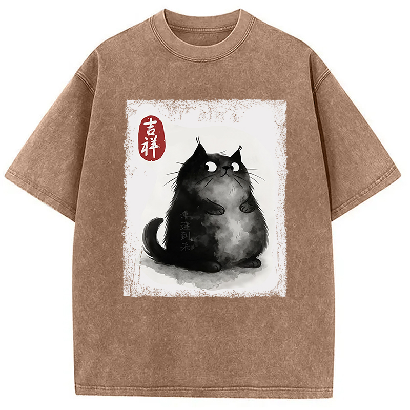 Auspicious Fluffy Black Cat Washed T-Shirt