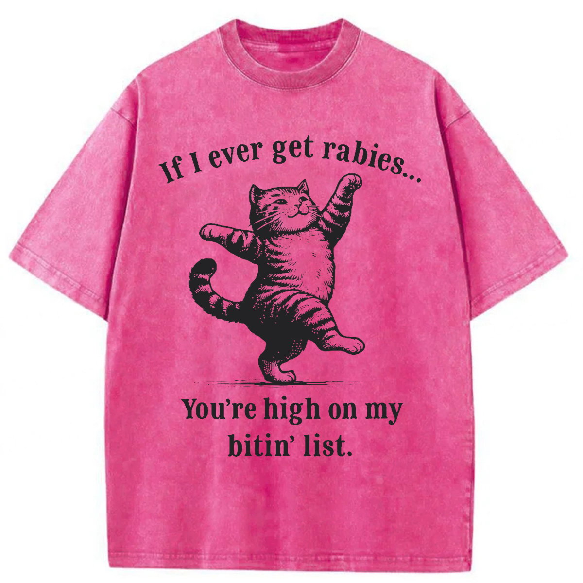Tokyoviva If I Ever Get Rabies You’re High On My Bitin’ List Washed T-shirt