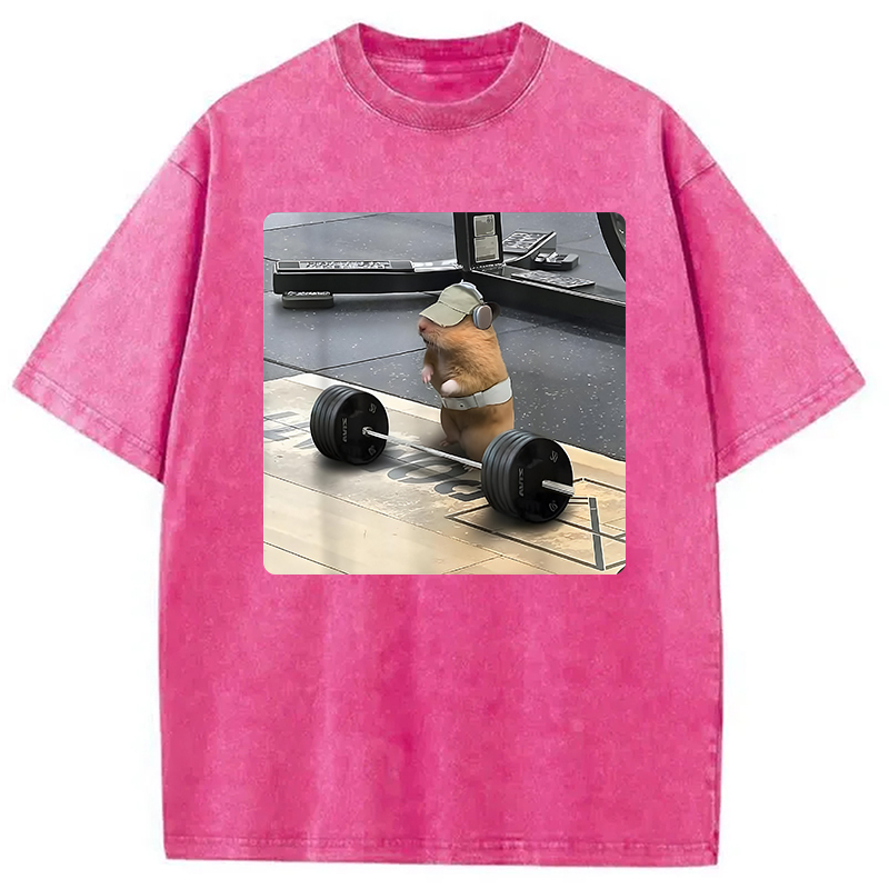 Funny Cute Rat Weightlifting Meme Washed T-Shirt