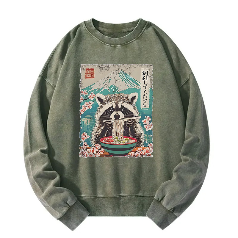 Please Give Raccoon A Discount Washed Sweatshirt