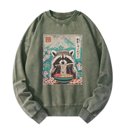 Please Give Raccoon A Discount Washed Sweatshirt