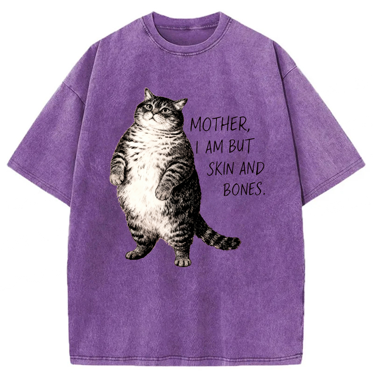 Tokyoviva Overweight Cat And Its Doting Owner Washed T-shirt