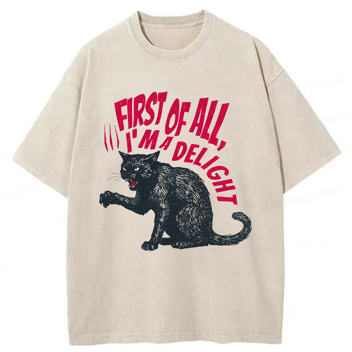 Tokyoviva Pistachio Cat Washed T-shirt