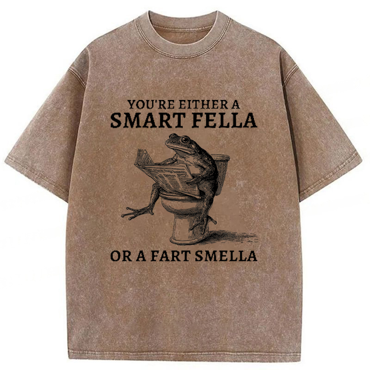Tokyoviva The Conceited Frog On The Toilet Washed T-shirt