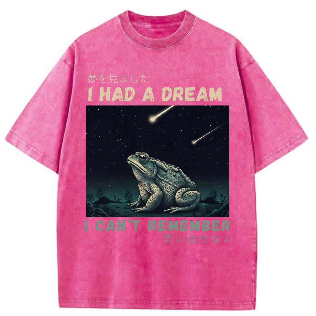 Tokyoviva I Had A Dream Toad Washed T-shirt