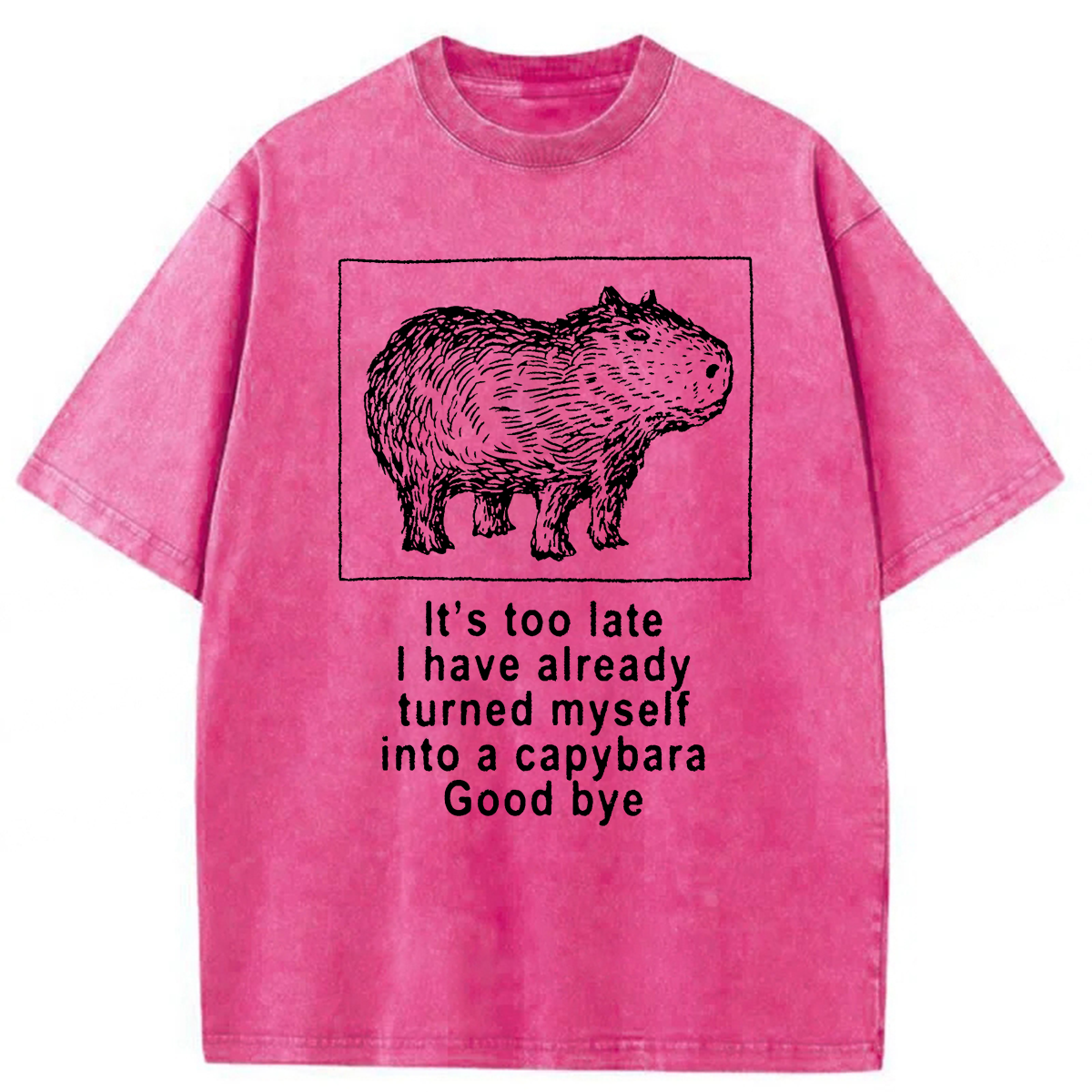 Tokyoviva I Have Turned Myself Into A Capybara Washed T-shirt