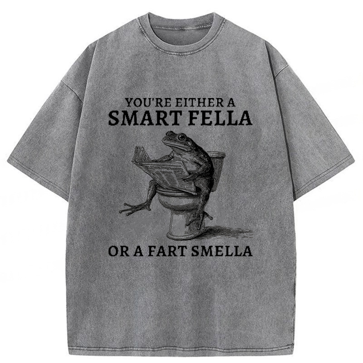 Tokyoviva The Conceited Frog On The Toilet Washed T-shirt