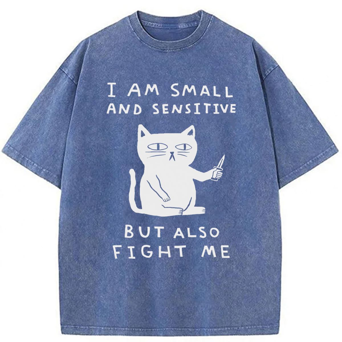 Tokyoviva I Am Small And Sensitive But Also Fight Me Washed T-shirt