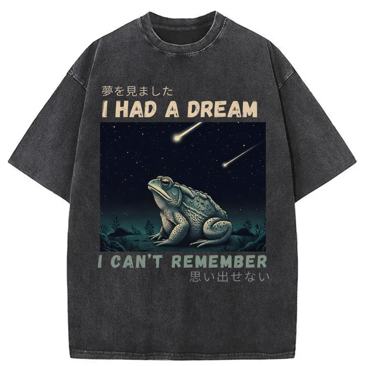 Tokyoviva I Had A Dream Toad Washed T-shirt