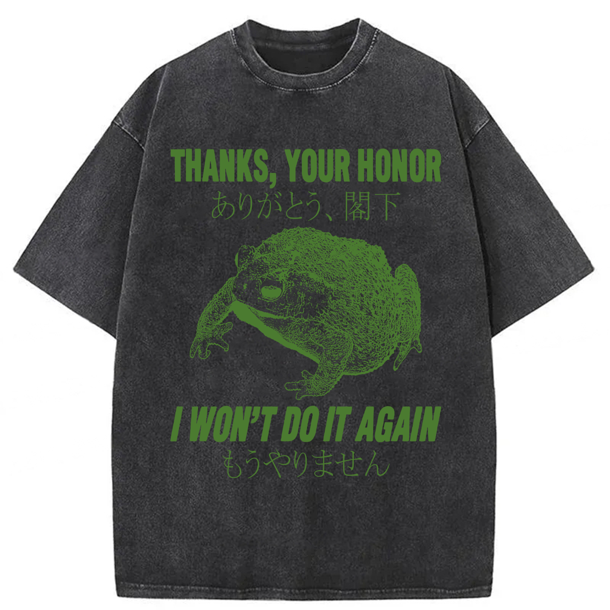 Tokyoviva I Won't Do It Again Frog Washed T-shirt
