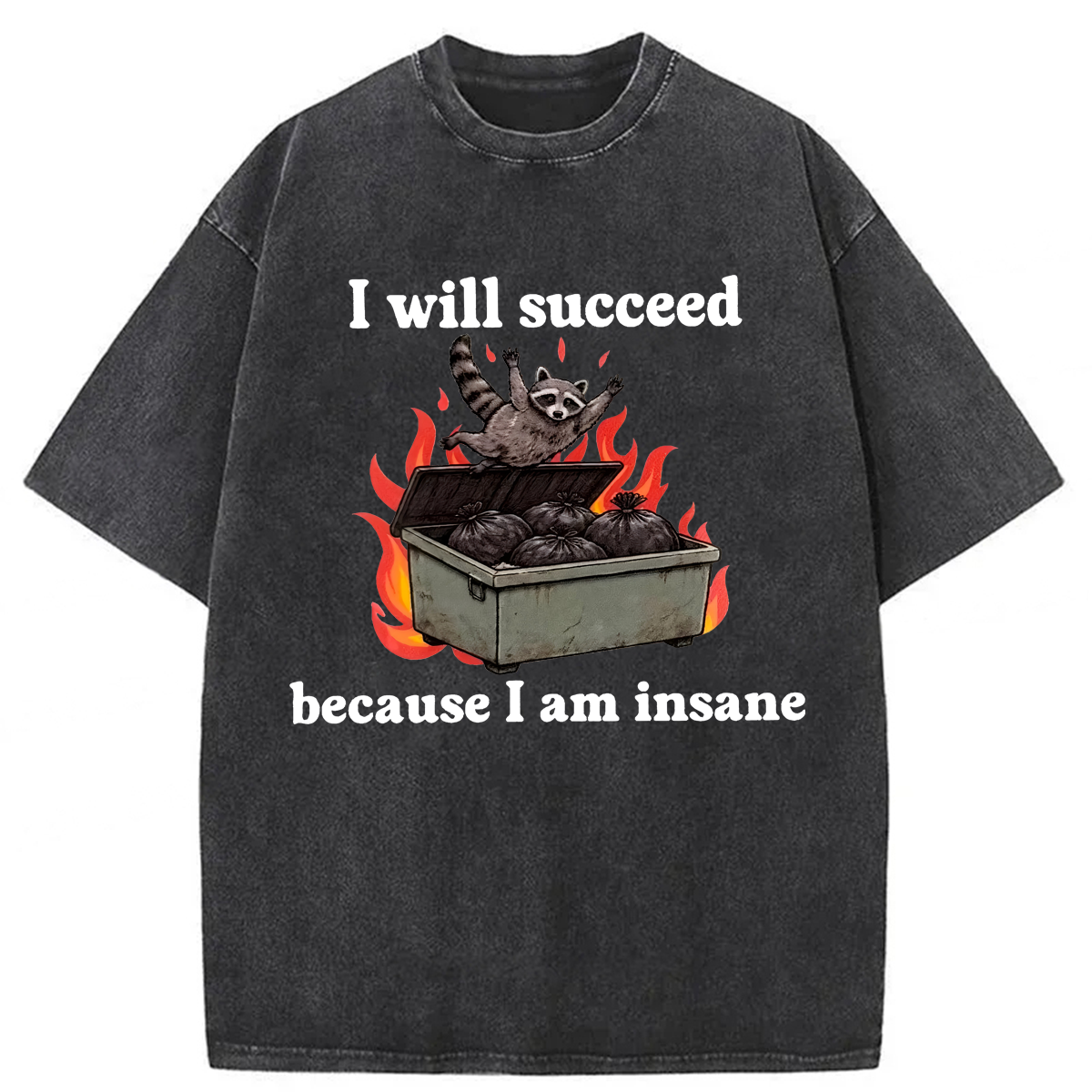 Tokyoviva I Will Succeed Washed T-shirt