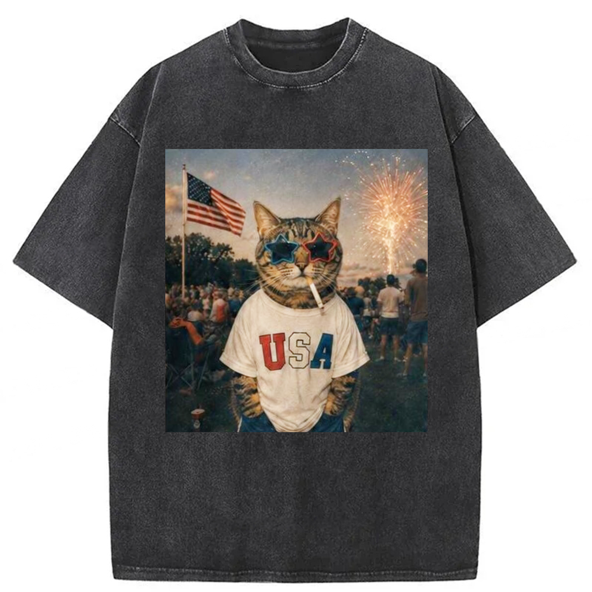 Tokyoviva Patriotic Cat 4th Of July Washed T-shirt