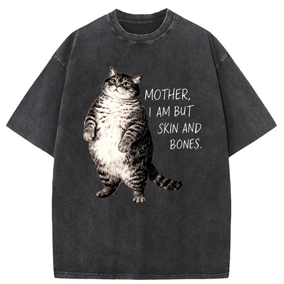 Tokyoviva Overweight Cat And Its Doting Owner Washed T-shirt