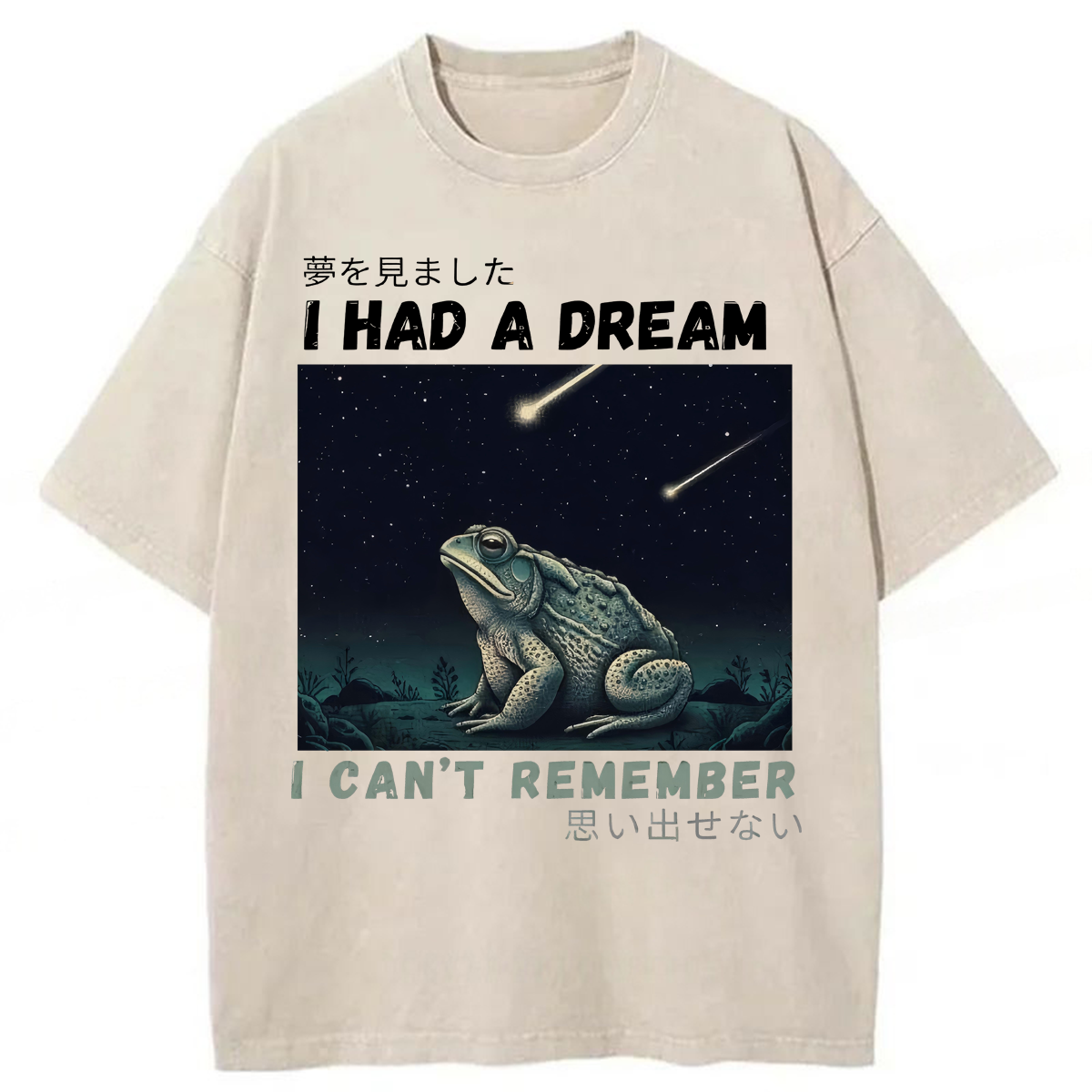Tokyoviva I Had A Dream Toad Washed T-shirt