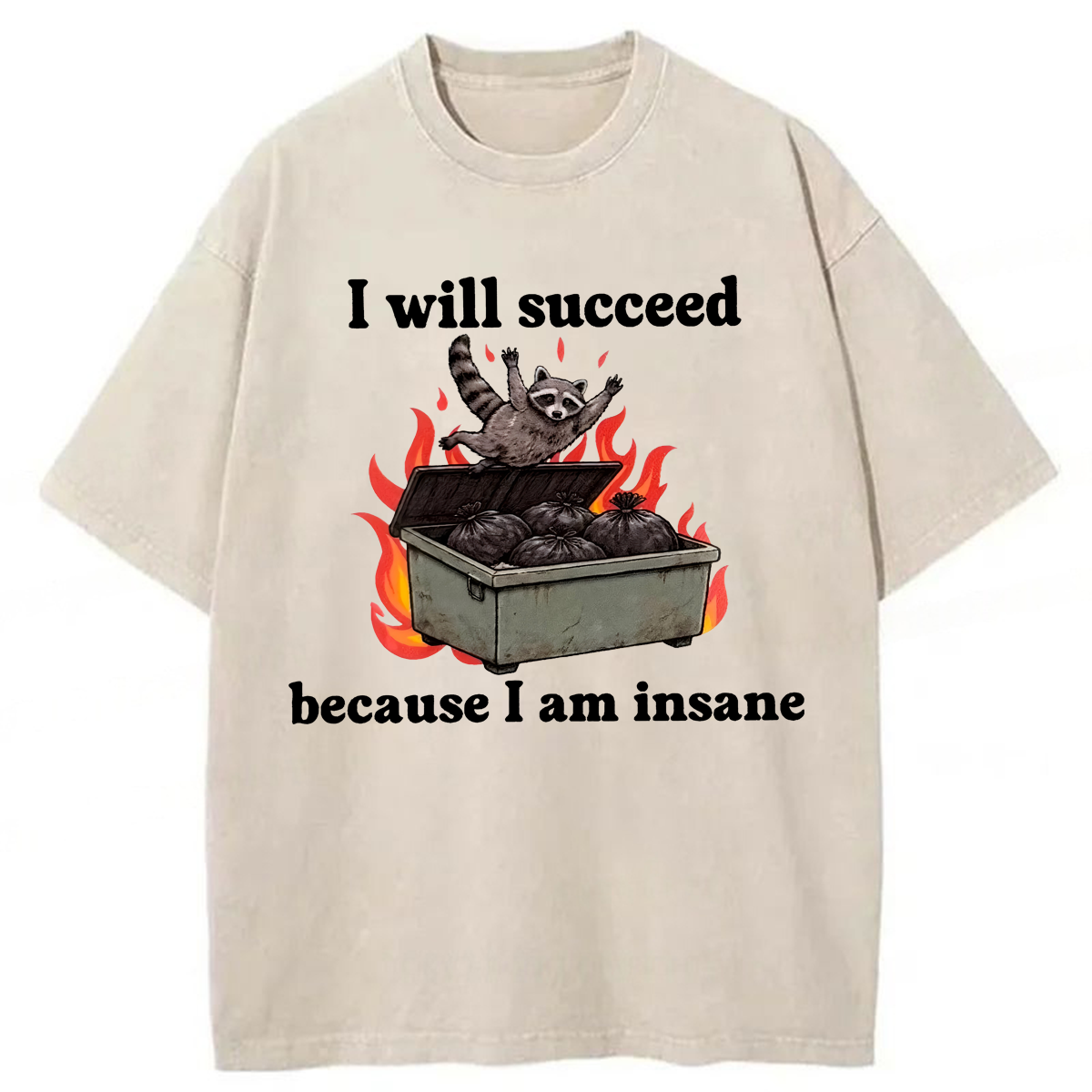 Tokyoviva I Will Succeed Washed T-shirt