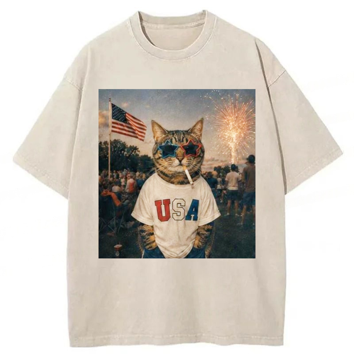 Tokyoviva Patriotic Cat 4th Of July Washed T-shirt