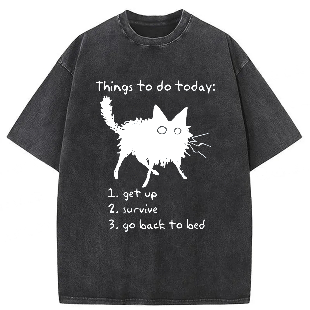 Tokyoviva Lazy Cat Survive Day Washed T-shirt