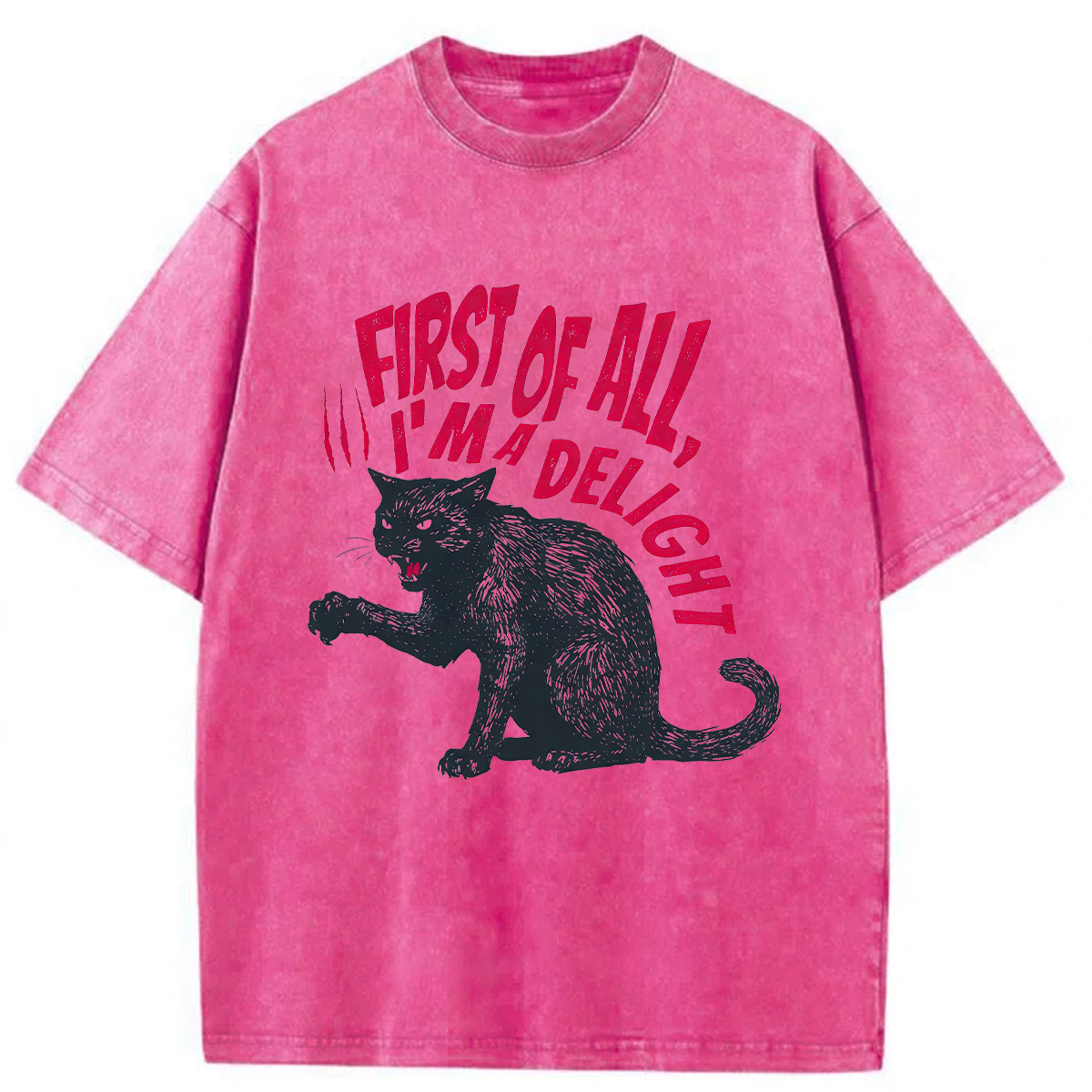 Tokyoviva Pistachio Cat Washed T-shirt