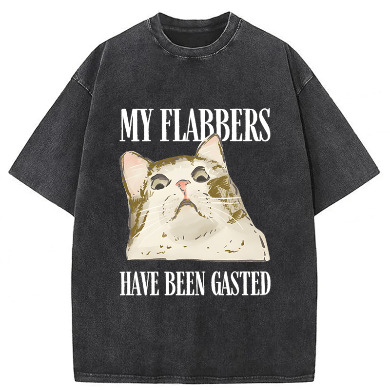 Tokyoviva American Street Wear Funny Sarcastic Cat Washed T-shirt