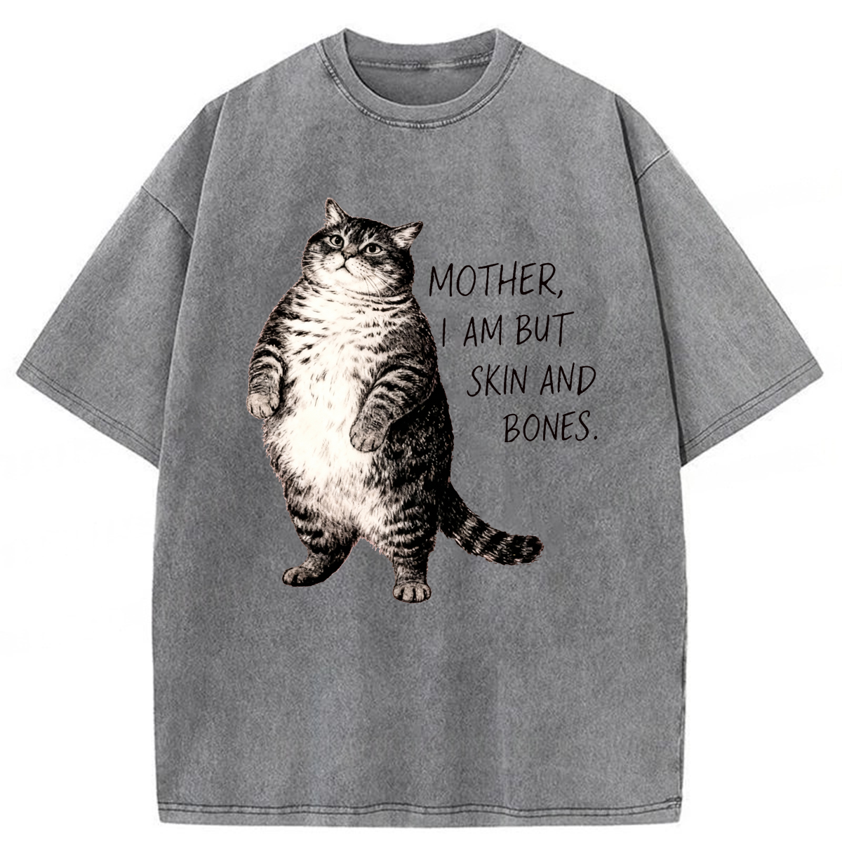Tokyoviva Overweight Cat And Its Doting Owner Washed T-shirt