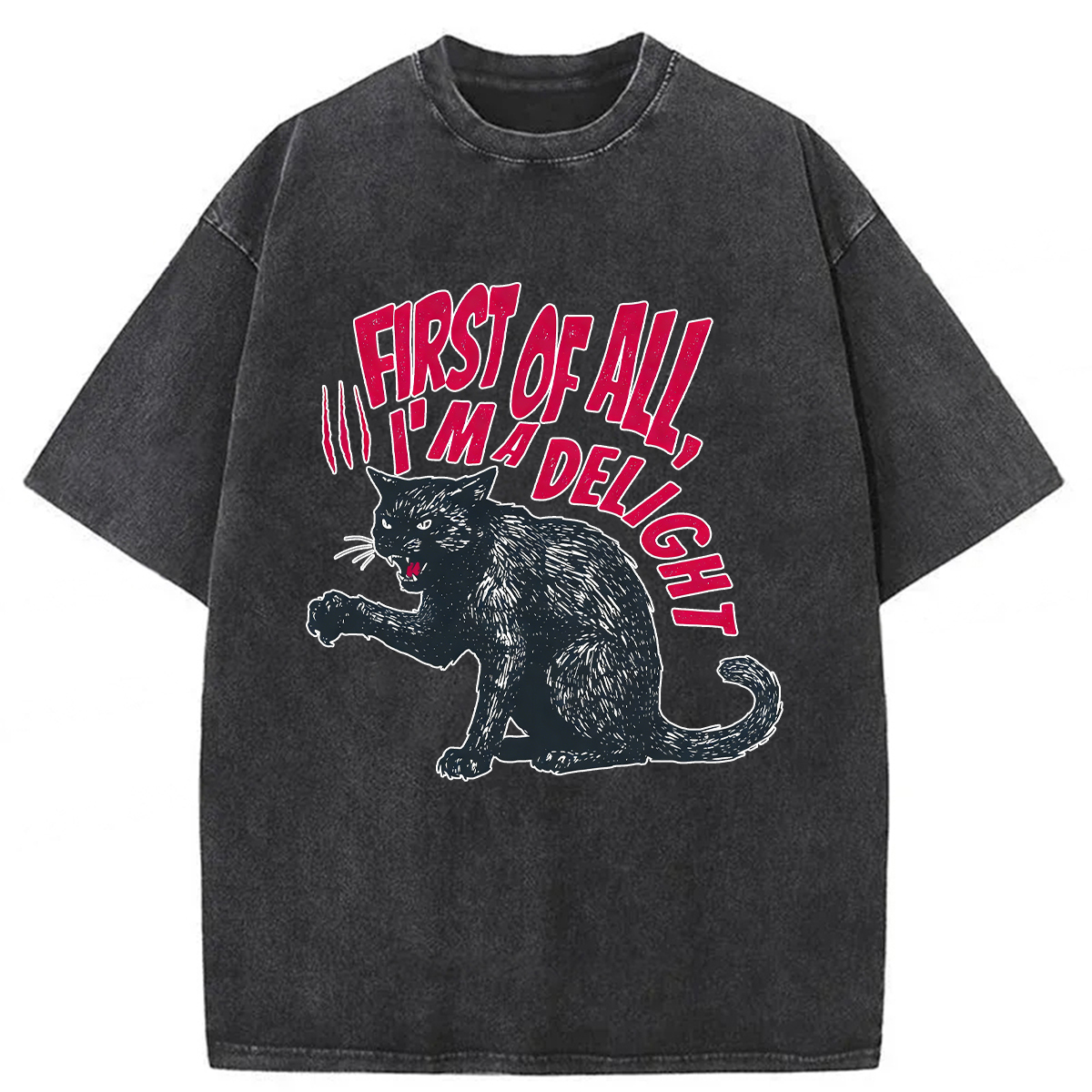Tokyoviva Pistachio Cat Washed T-shirt
