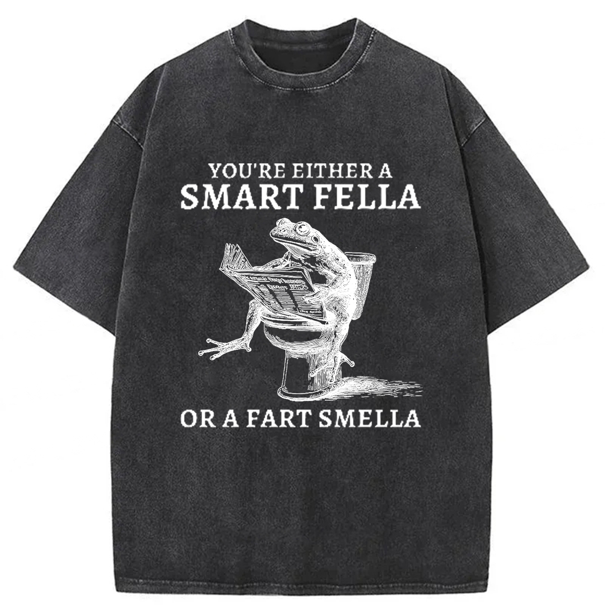 Tokyoviva The Conceited Frog On The Toilet Washed T-shirt