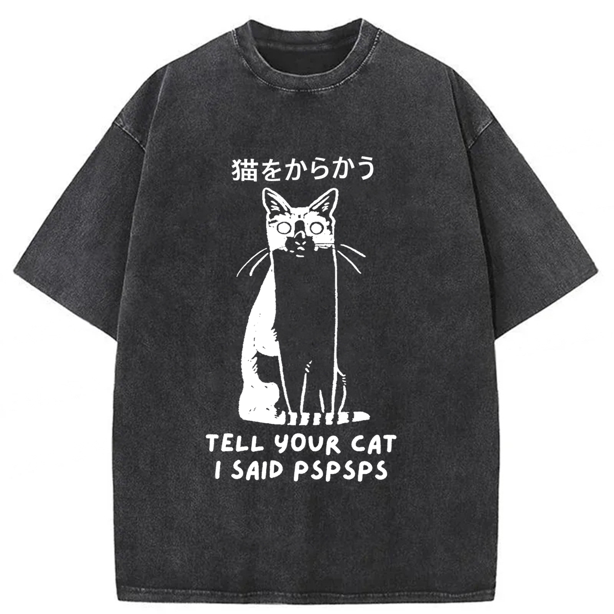 Tokyoviva Tell Your Cat I Said Pspsps Washed T-shirt