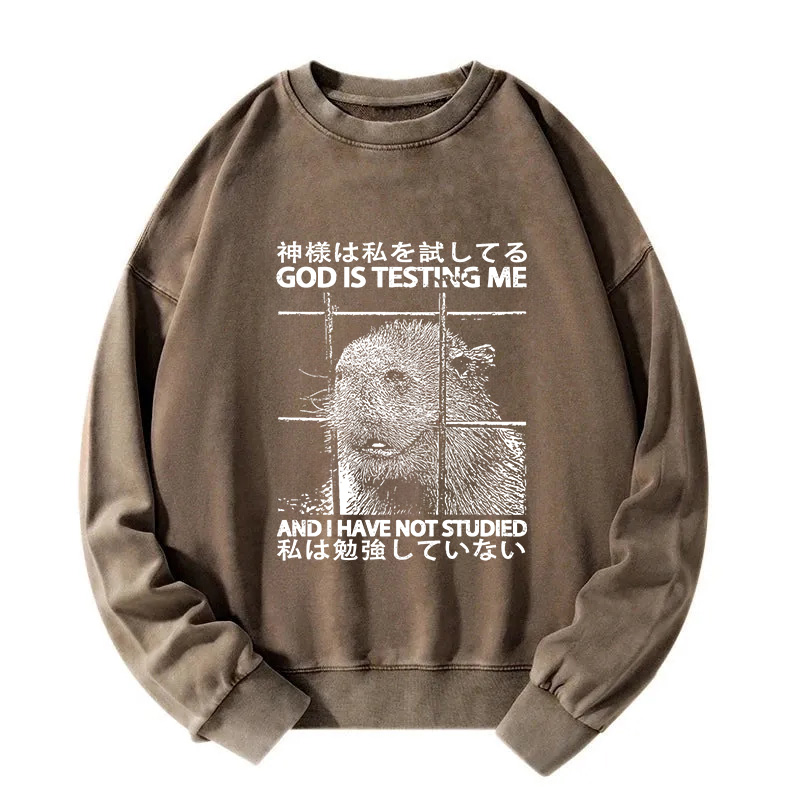 God Is Testing Me Washed Sweatshirt