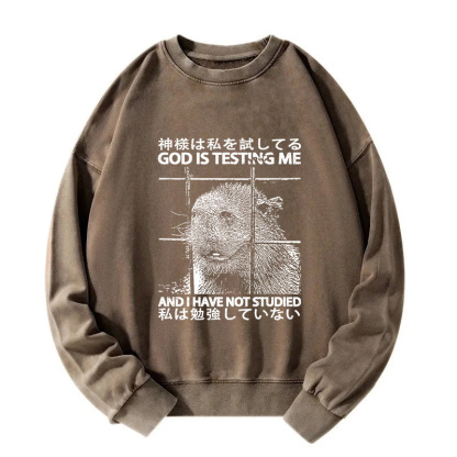 God Is Testing Me Washed Sweatshirt