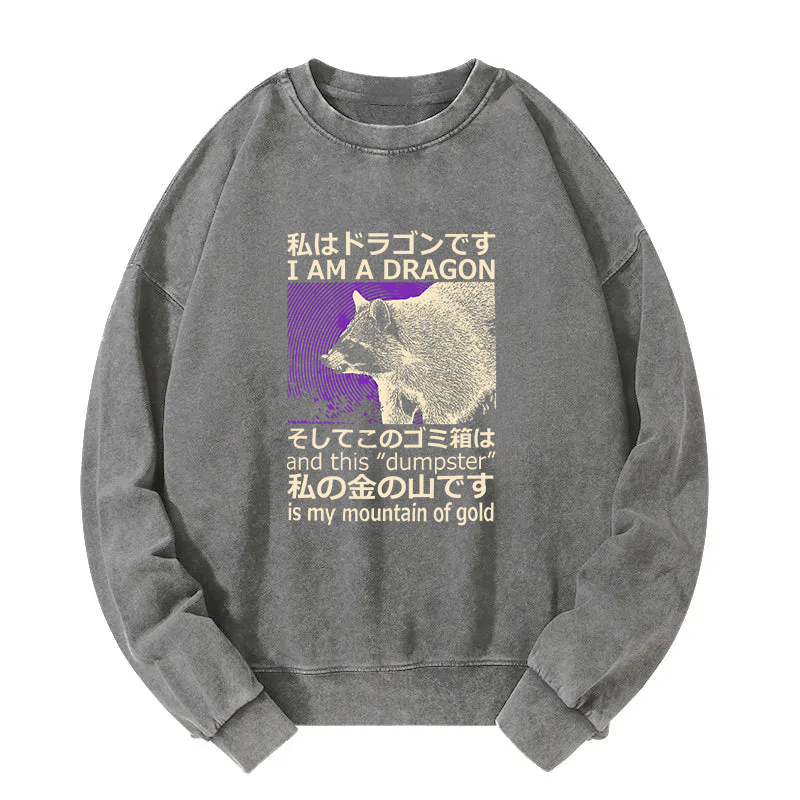 I Am A Dragon and this "Dumpster" is My Mountain of Gold Washed Sweatshirt