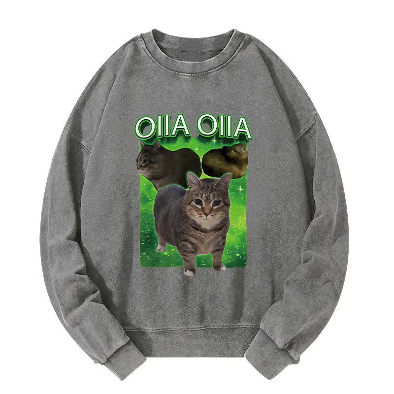 Oiia Cat Funny Meme Washed Sweatshirt